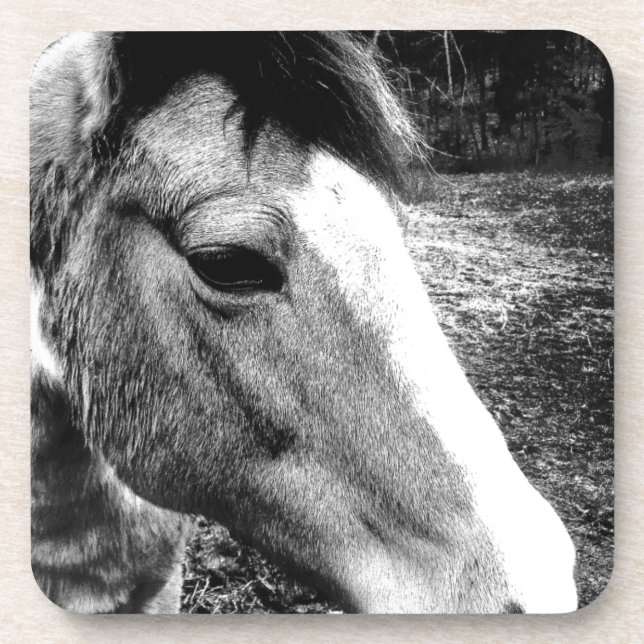 Pferd Untersetzer (Vorderseite)