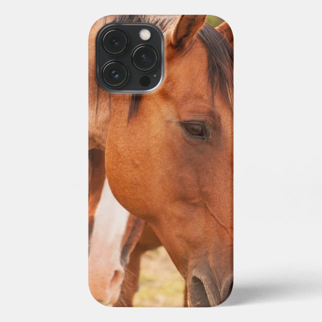 Pferd verstecken sich hinter Pferd iPhone 13 Pro Max Hülle (Rückseite)