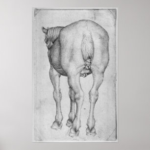 Pferd, vom Vallardi Album Poster