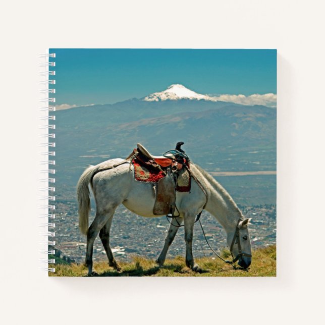 Pferd & Vulkan, Quito, Ecuador Notizbuch (Vorderseite)