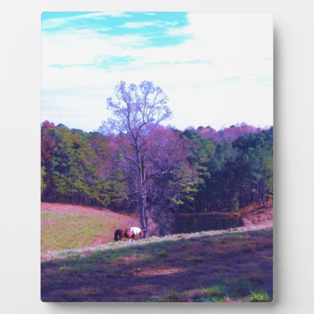 Pferd weit weg in einem Lila Feld Fotoplatte (Vorderseite)