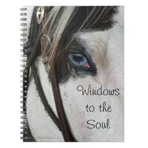 Pferd Windows zum Soul-Notizbuch oder der Notizblock