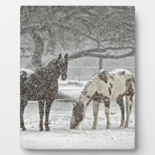 Pferd Winter Schnee Bauernhof Ranch Tiere schneebe Fotoplatte