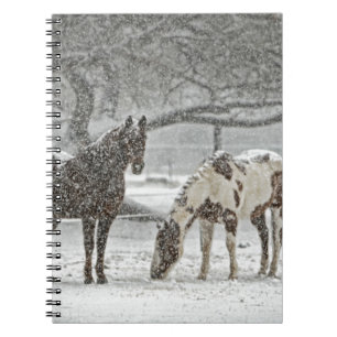 Pferd Winter Schnee Bauernhof Ranch Tiere schneebe Notizblock
