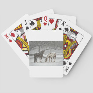 Pferd Winter Schnee Bauernhof Ranch Tiere schneebe Spielkarten