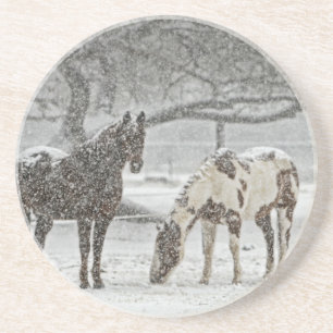 Pferd Winter Schnee Bauernhof Ranch Tiere schneebe Untersetzer