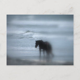 Pferd zu Fuß den Strand Newport Rhode Island Postkarte