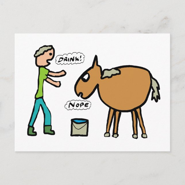 Pferd zum Wasser Postkarte (Vorderseite)