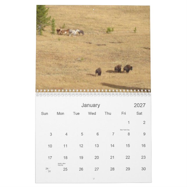 Pferde 2012 der Liebe I Kalender (Jan 2027)