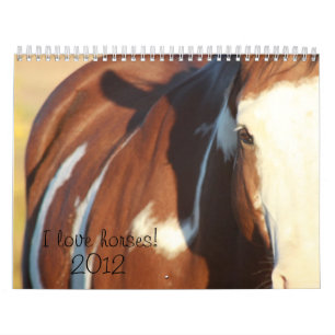 Pferde 2012 der Liebe I Kalender