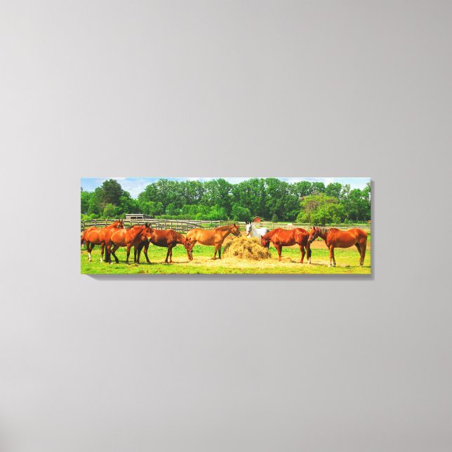Pferde [36x12] Zoll Leinwanddruck (Vorderseite)