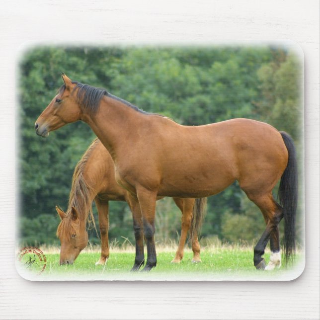 Pferde 9A81D-10 Mousepad (Vorne)