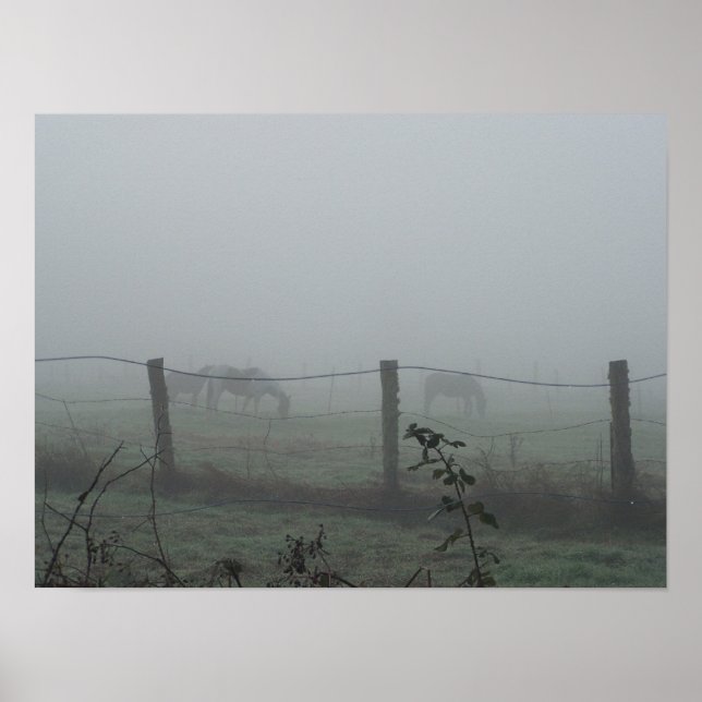 Pferde am Morgen Nebel Poster (Vorne)