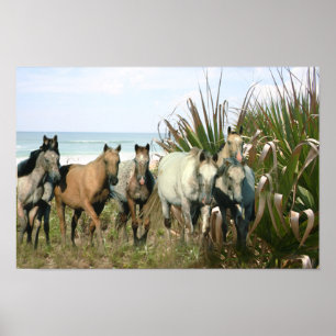 Pferde am Strand-Druck Poster