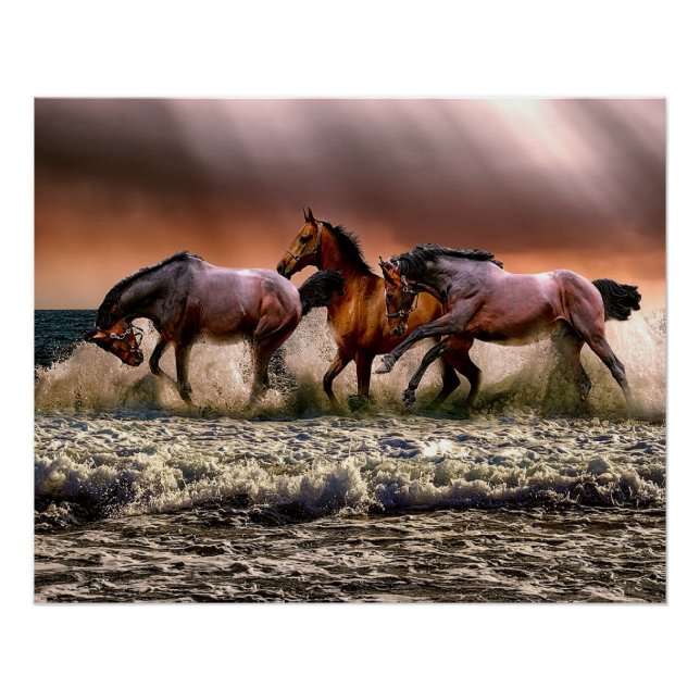 Pferde am Strand Poster (Vorderseite)