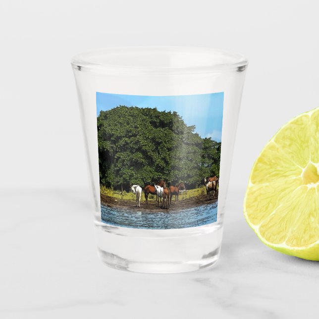 Pferde am Wasser - Costa Rica Schnapsglas (Vorderseite)