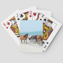 Pferde an der Nationalküste Assateague