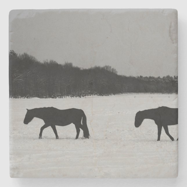 Pferde an der Schneeküste Steinuntersetzer (Vorderseite)