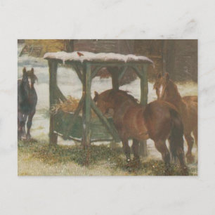 Pferde an Weihnachten