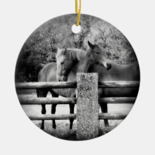 Pferde auf Bauernhof-Feld zusammen Keramik Ornament