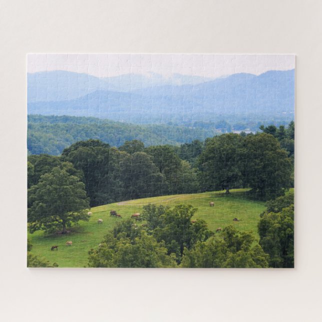 Pferde auf den Blue Ridge Mountains (Horizontal)