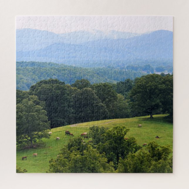 Pferde auf den Blue Ridge Mountains - 20 x 20 Zoll (Vertikal)
