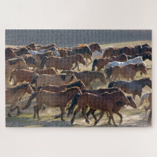 Pferde auf der Ranch, Innere Mongolei, China