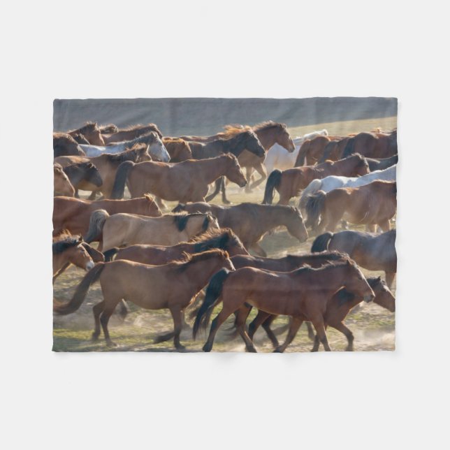 Pferde auf der Ranch, Innere Mongolei, China Fleecedecke (Vorderseite (Horizontal))