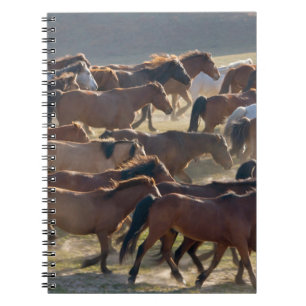Pferde auf der Ranch, Innere Mongolei, China Notizblock