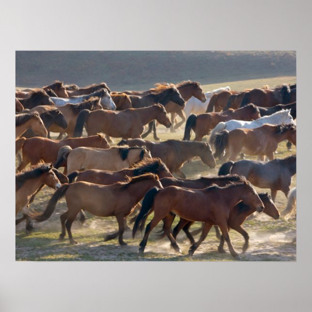 Pferde auf der Ranch, Innere Mongolei, China Poster (Vorne)