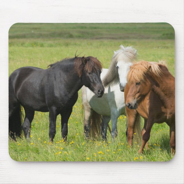 Pferde auf der Ranch, Südisland Mousepad (Vorne)