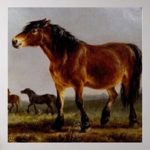 Pferde auf der Schlichten Landschaft Poster