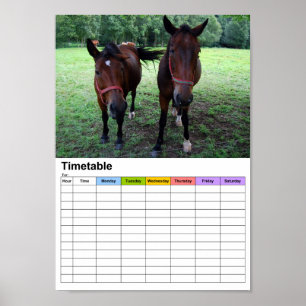 Pferde auf der Weide / Zeitplan Poster