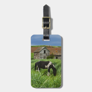 Pferde auf einem Feld im Palouse 2 Gepäckanhänger