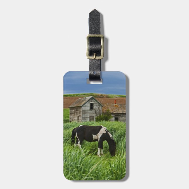Pferde auf einem Feld im Palouse 2 Gepäckanhänger (Vorderseite vertikal)