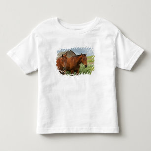 Pferde auf einem Feld in der Palouse 3 betrachten Kleinkind T-shirt