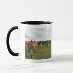 Pferde auf einem Feld Tasse