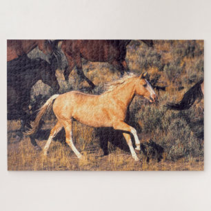 Pferde auf einer Ponderosa-Ranch