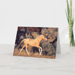 Pferde auf einer Ponderosa-Ranch Karte