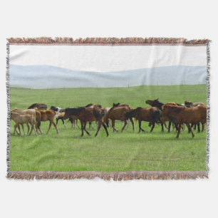 Pferde auf Grasland - Landschaftsfotografie Decke