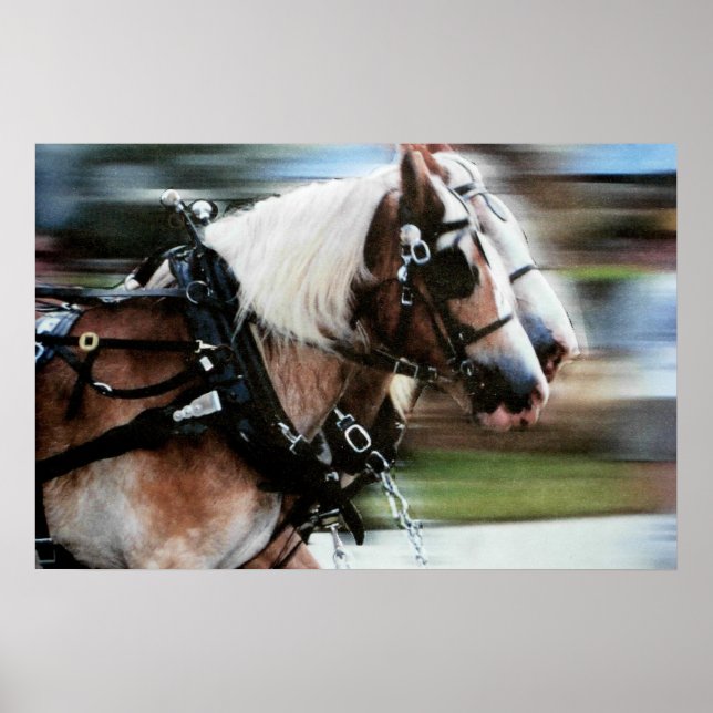 Pferde auf Pferden gezeichnet Kutschenplakat Foto Poster (Vorne)