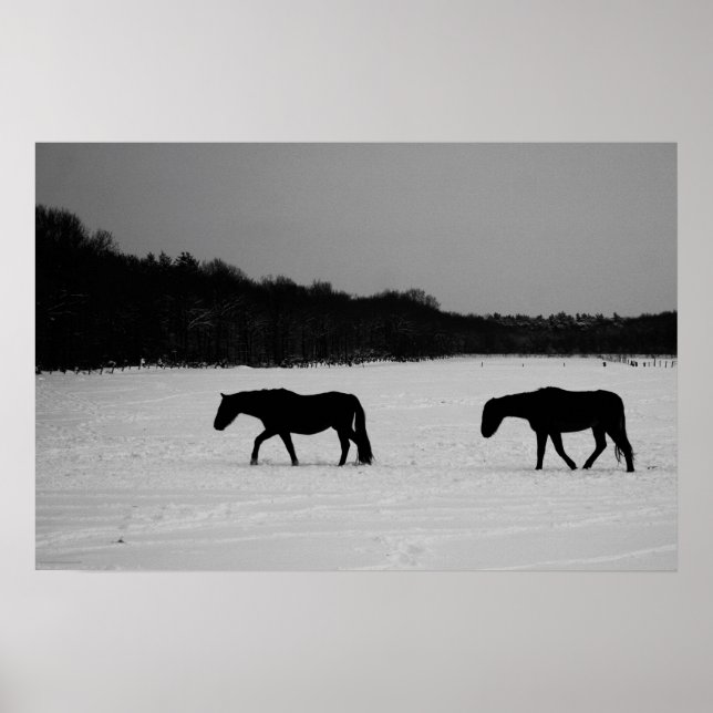 Pferde auf Schneefall Poster (Vorne)