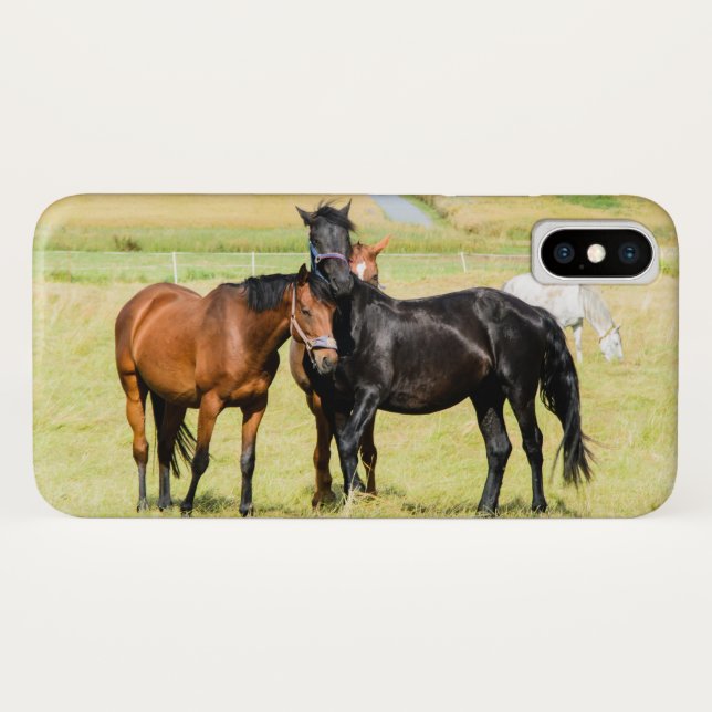 Pferde auf Weide 003 Case-Mate iPhone Hülle (Rückseite (Horizontal))