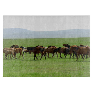 Pferde auf Weide - Landschaftsfotografie Schneidebrett