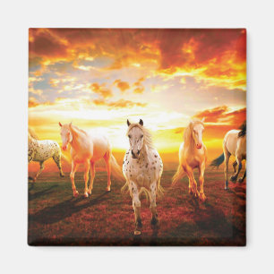 Pferde bei Sonnenuntergang Kissen Magnet