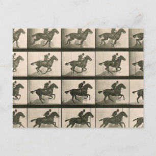 Pferde Bewegungs Vintage-Fotografie Postkarte