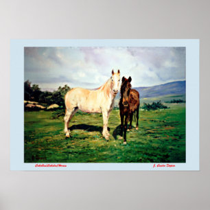 Pferde/Cabalos/Horses Poster