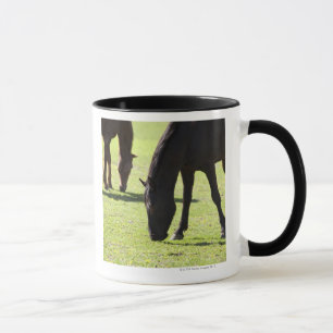Pferde, die 2 weiden lassen tasse