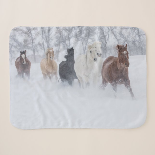 Pferde, die durch den Schnee laufen Sherpadecke (Vorderseite (Horizontal))