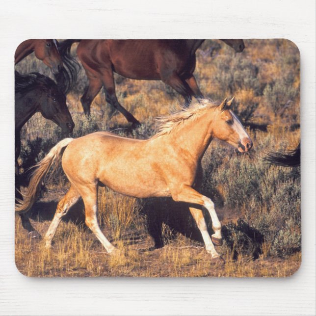 Pferde, die eine Ponderosa Ranch laufen Mousepad (Vorne)